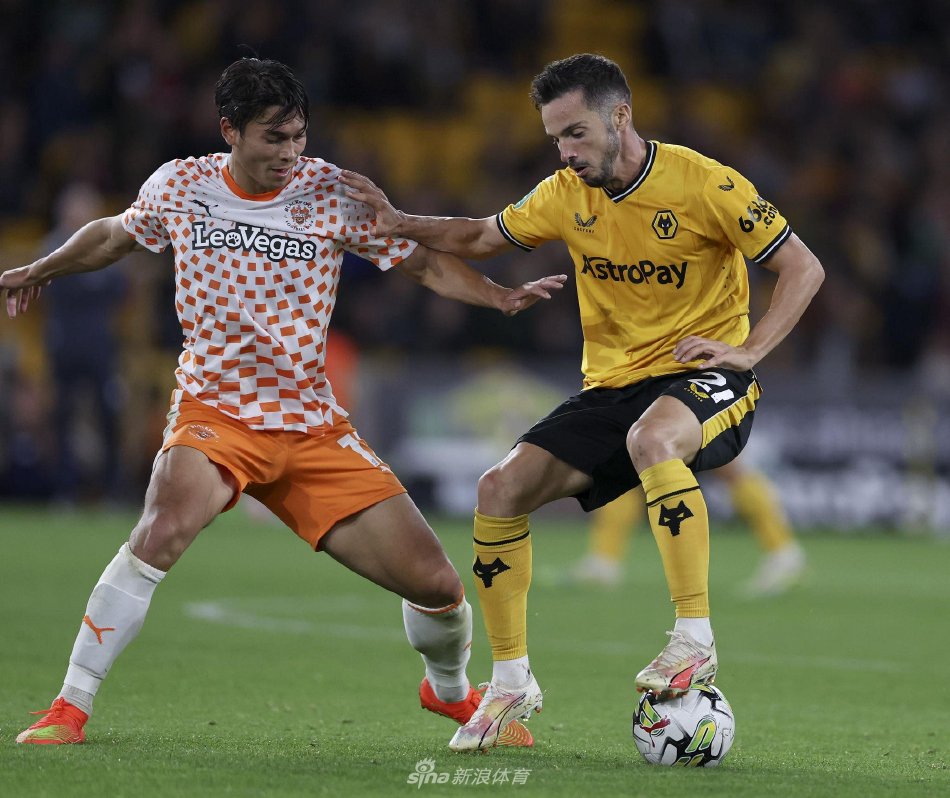 或许会成为 或许会成为